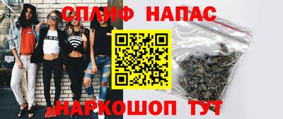 гашик Славгород