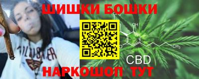 гашик Славгород