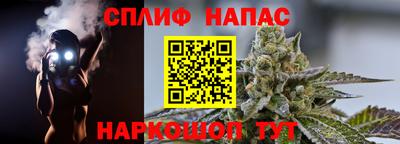 гашик Славгород