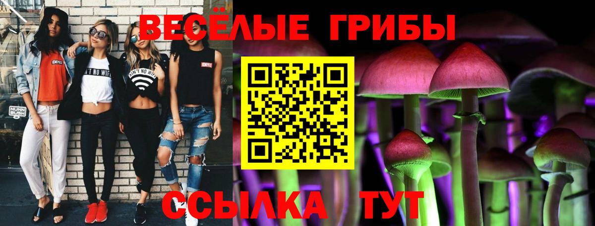 Псилоцибиновые грибы прущие грибы Кореновск